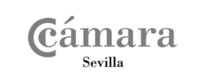 cámara de comercio de sevilla