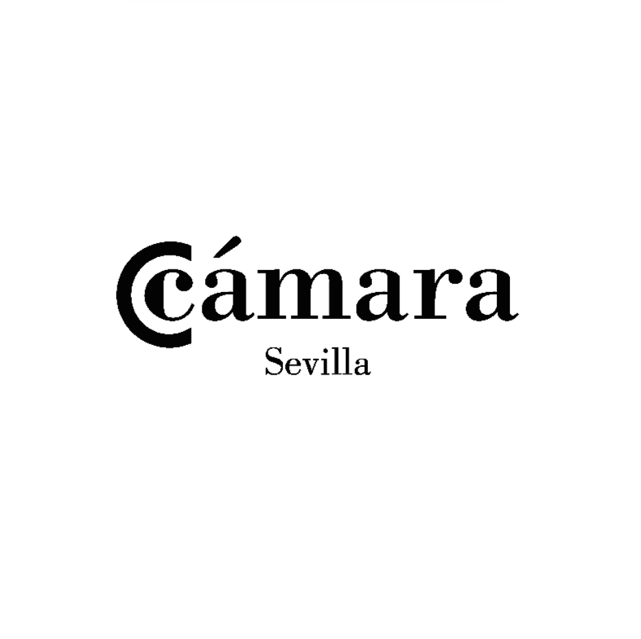 cámara de comercio sevilla