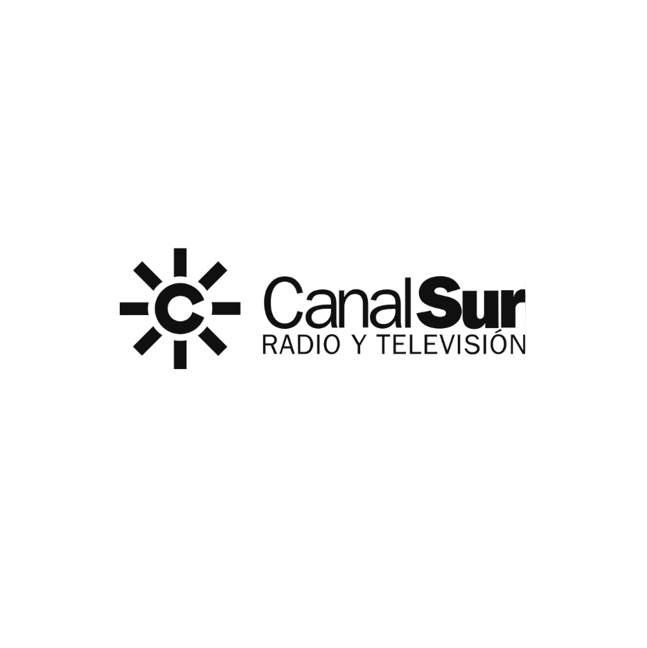 canal sur tv